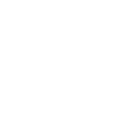 File & media sharing